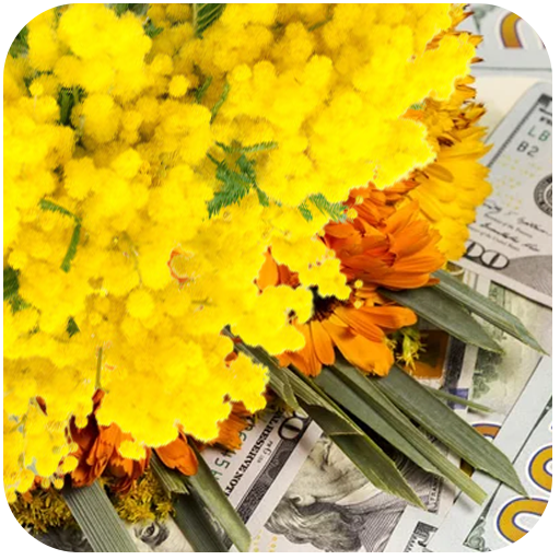 Предзаказы