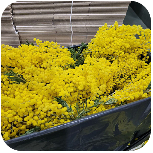 Безопасная доставка